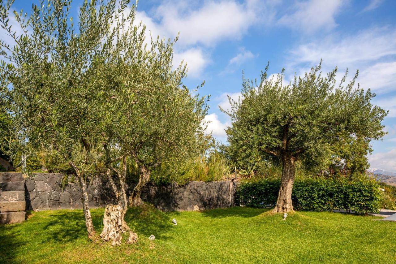 Design Villa In Piedimonte Etneo Buitenkant foto