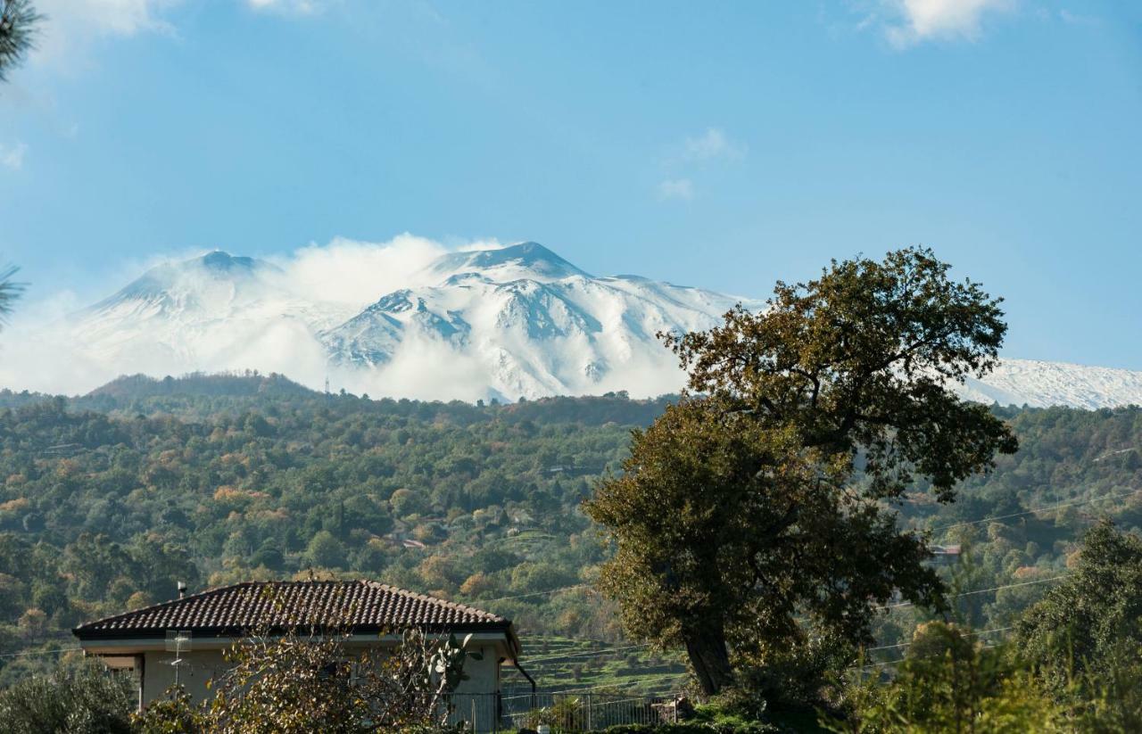Design Villa In Piedimonte Etneo Buitenkant foto